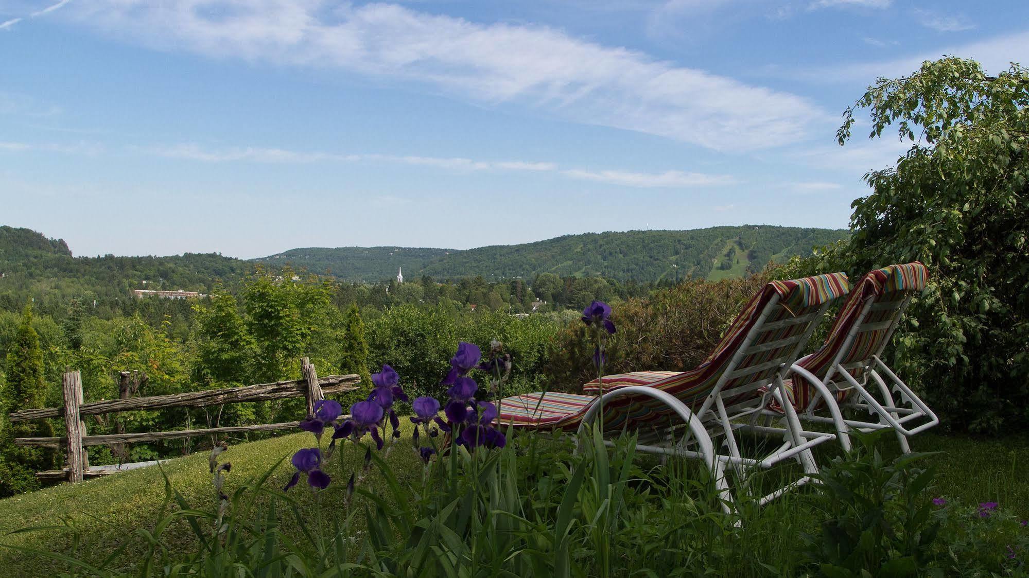 Saint-Sauveur-des-Monts Le Petit Clocher Gite Touristique B & B מראה חיצוני תמונה